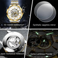 Automatic Mechanical Watch for Men Luxury Brand Imported Japan Movement Sapphire Mirror Skeleton Waterproof Wristwatches