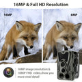 Wireless Hunting Camera Trail Night Vision Cameras  20MP 1080P IP65 Photo